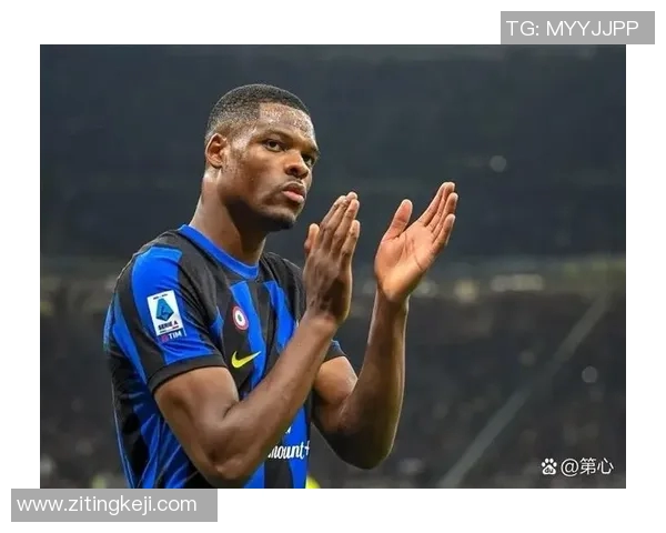 体格强壮的足球明星盘点他们的力量与技巧如何影响比赛表现