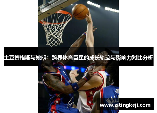 土豆博格斯与姚明：跨界体育巨星的成长轨迹与影响力对比分析
