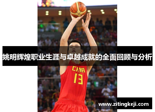 姚明辉煌职业生涯与卓越成就的全面回顾与分析